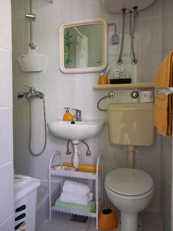 Studio Apartman Marija ペトルチャネ エクステリア 写真